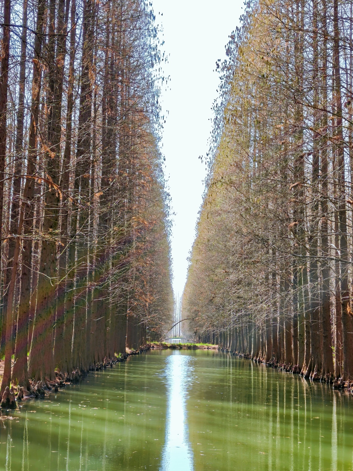 retouch_2025032117543940.jpg