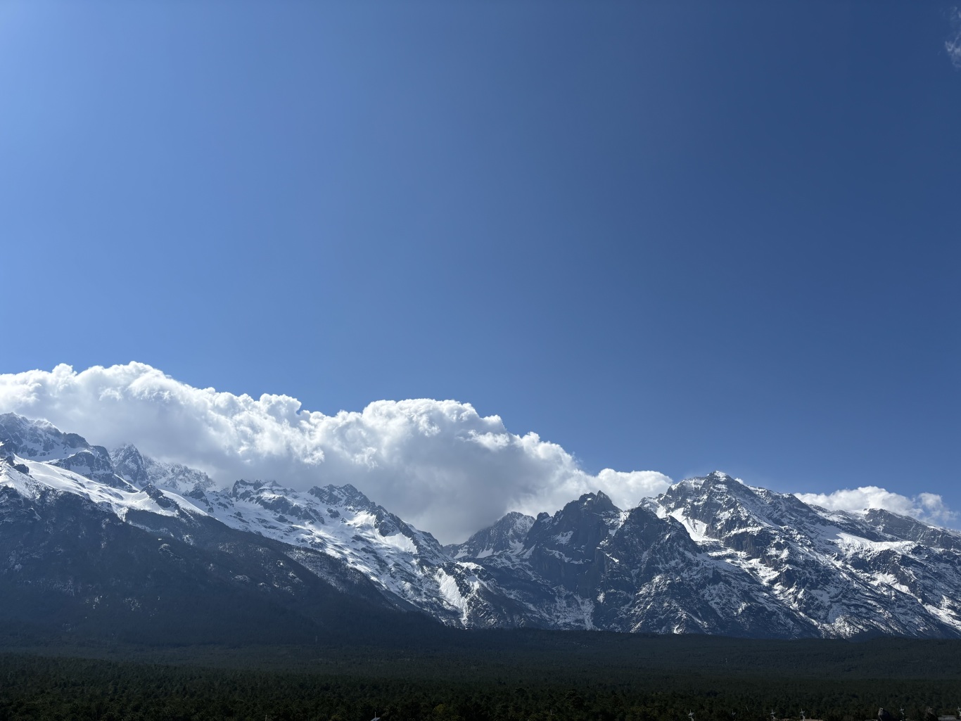 IMG_4475.jpeg