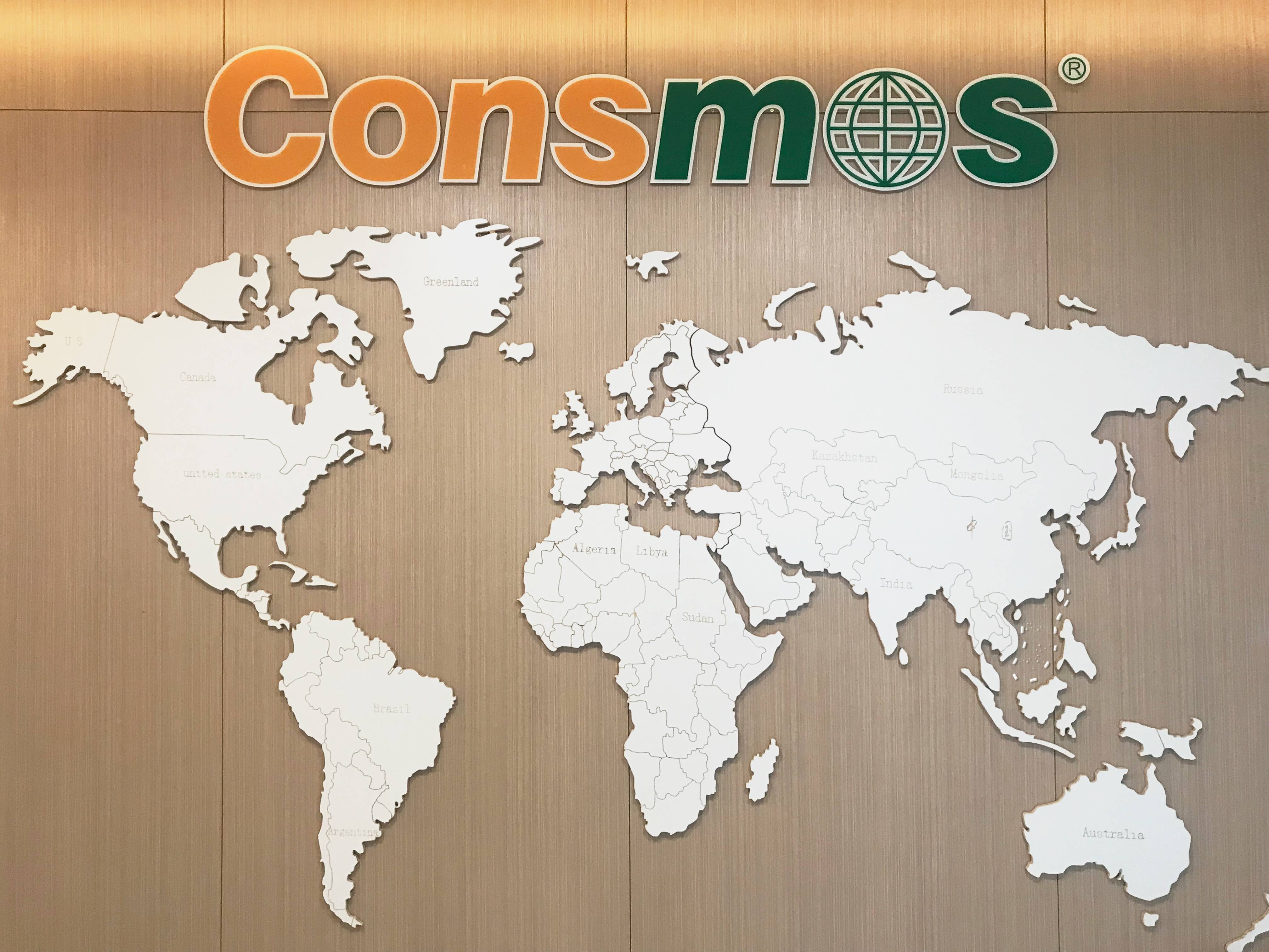 Consmos-plywood-office-(7)(1).jpg